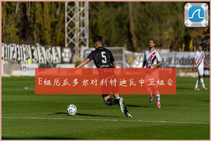 E组厄瓜多尔对科特迪瓦中卫组合