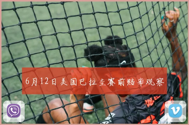 6月12日美国巴拉圭赛前赔率观察
