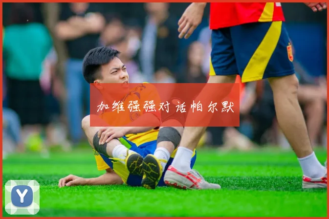 加维强强对话帕尔默