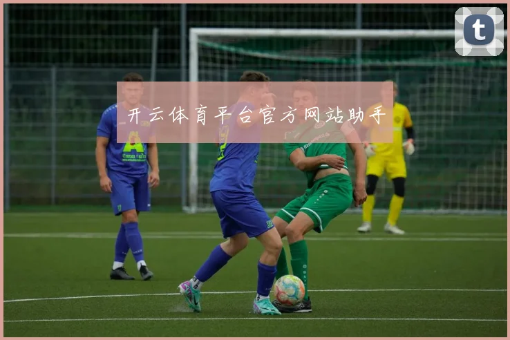 开云体育平台官方网站助手