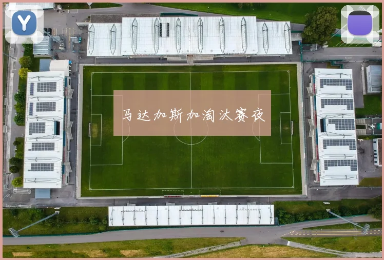 马达加斯加淘汰赛夜