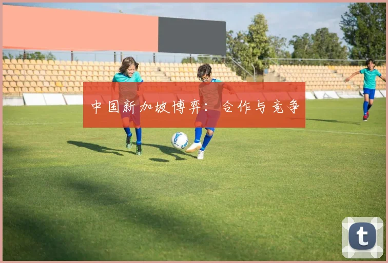 中国新加坡博弈：合作与竞争