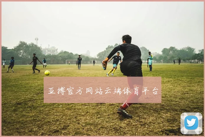 亚搏官方网站云端体育平台