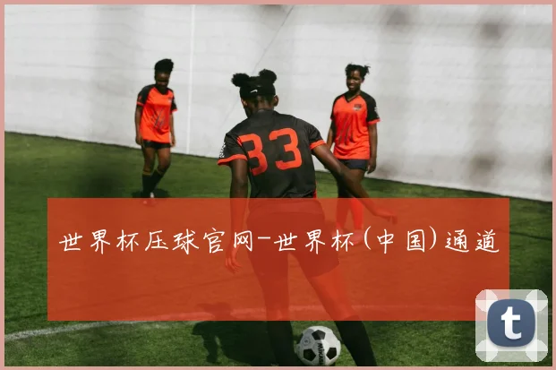 世界杯压球官网-世界杯(中国)通道