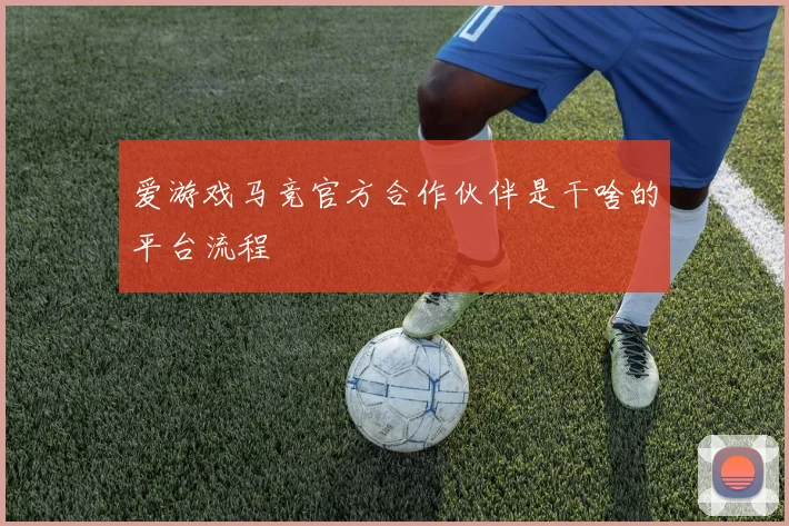 爱游戏马竞官方合作伙伴是干啥的平台流程