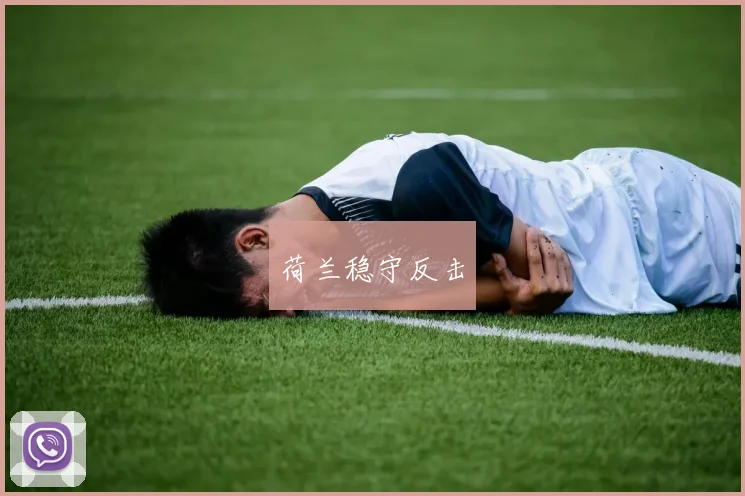 荷兰稳守反击