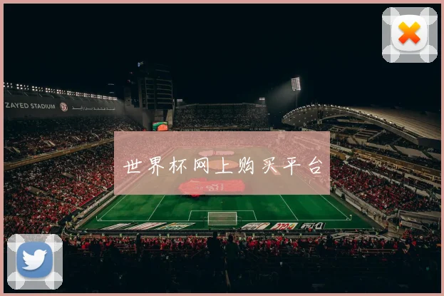 世界杯网上购买平台