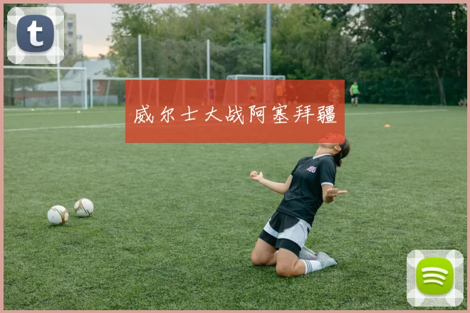 威尔士大战阿塞拜疆