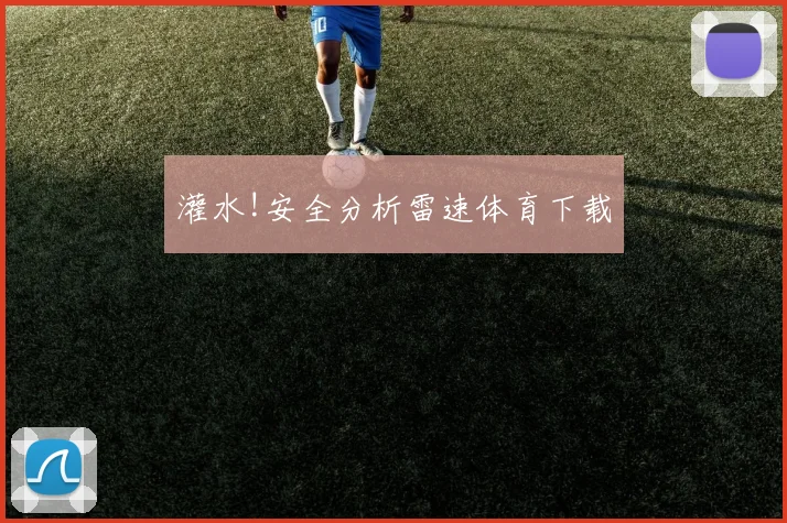 灌水!安全分析雷速体育下载
