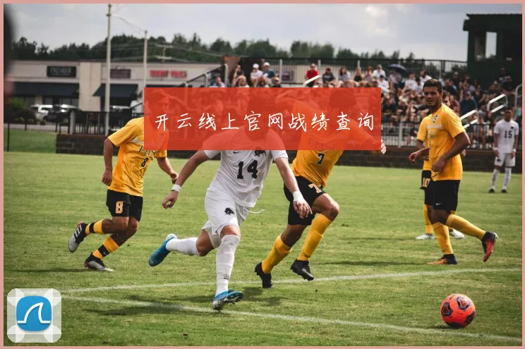 开云线上官网战绩查询