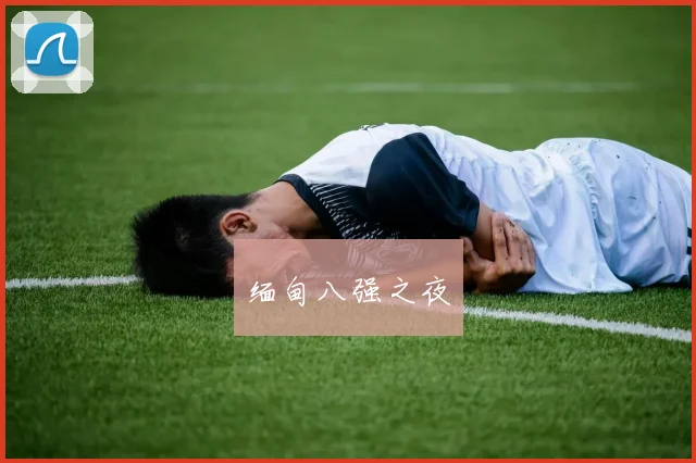 缅甸八强之夜
