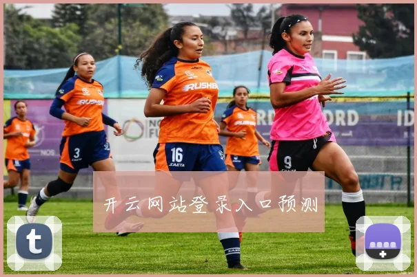 开云网站登录入口预测