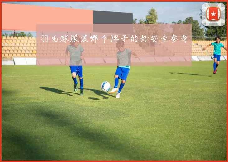 羽毛球服装哪个牌子的好安全参考