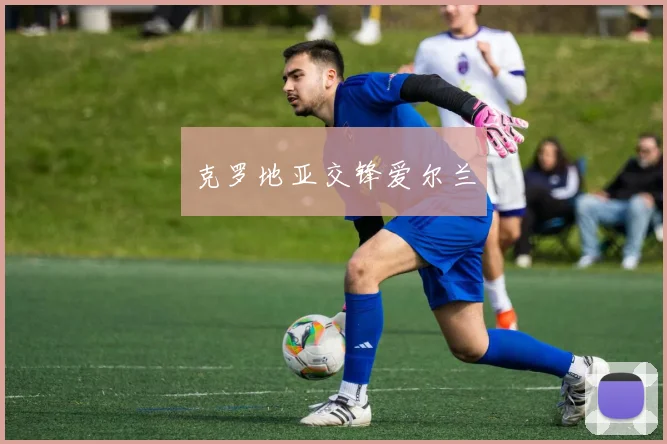 克罗地亚交锋爱尔兰
