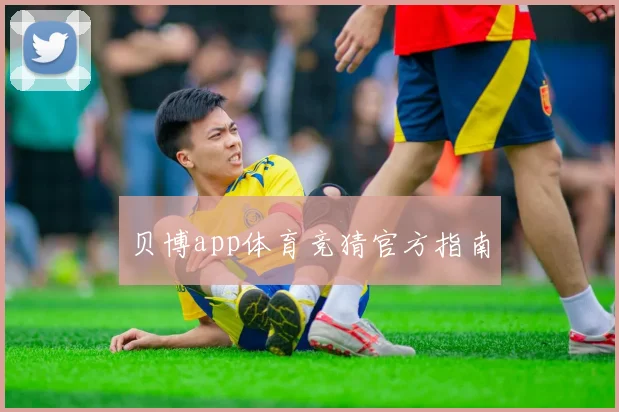 贝博app体育竞猜官方指南