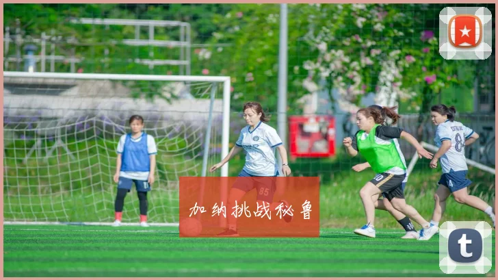 加纳挑战秘鲁