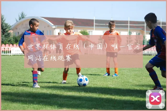 世界杯体育在线（中国）唯一官方网站在线观赛