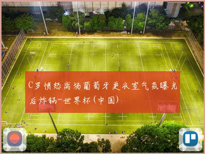 C罗愤怒离场葡萄牙更衣室气氛曝光后炸锅-世界杯(中国)