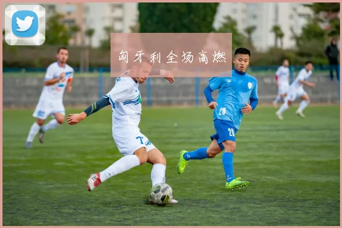 匈牙利全场高燃