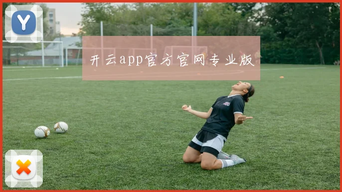 开云app官方官网专业版