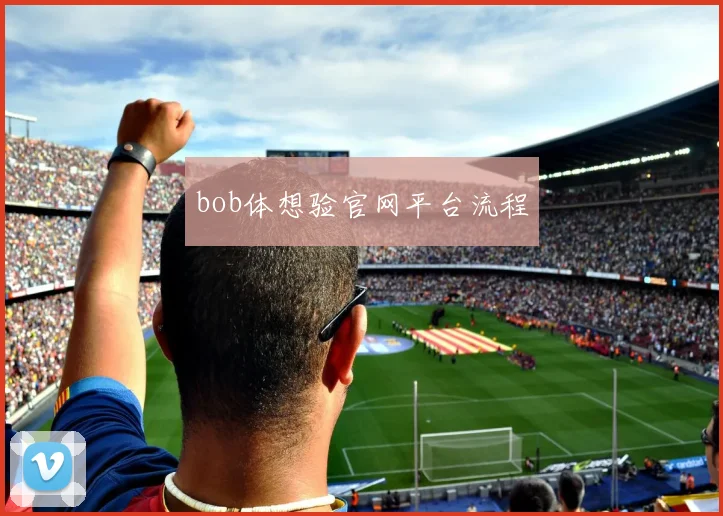 bob体想验官网平台流程