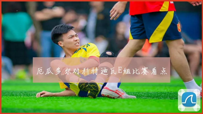 厄瓜多尔对科特迪瓦E组比赛看点