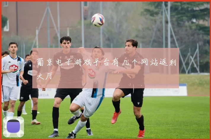 葡京电子游戏平台有几个网站返利大厅