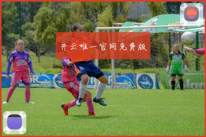 开云唯一官网免费版