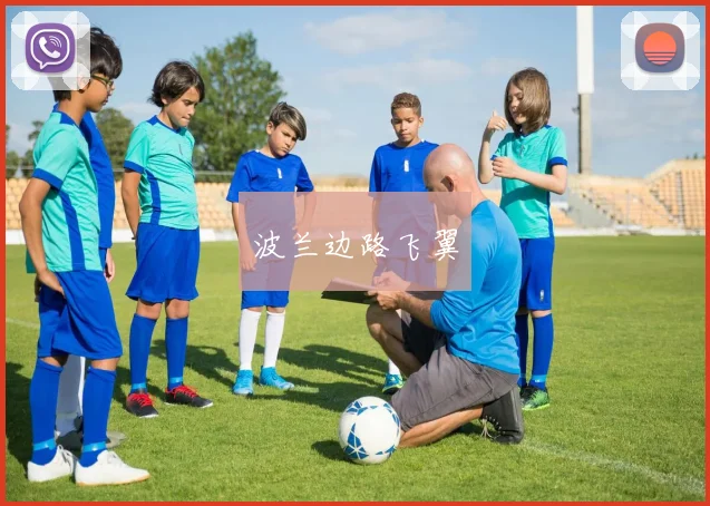 波兰边路飞翼