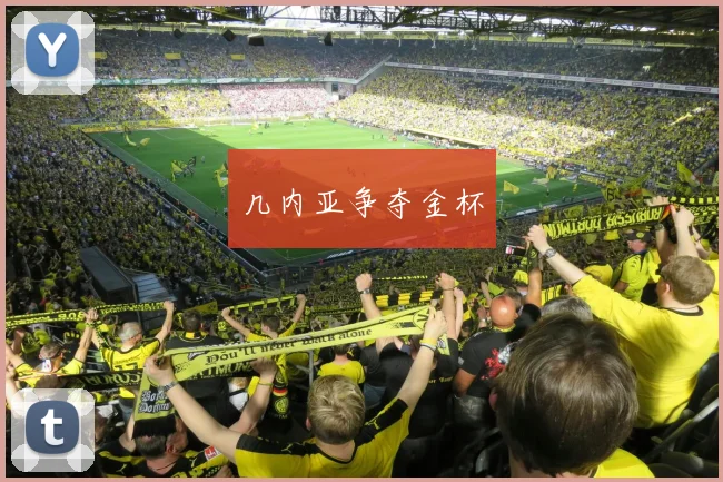 几内亚争夺金杯