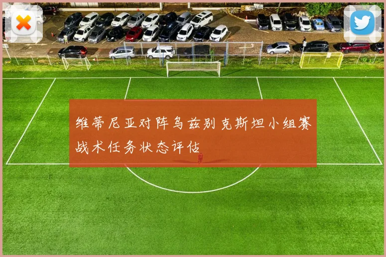 维蒂尼亚对阵乌兹别克斯坦小组赛战术任务状态评估