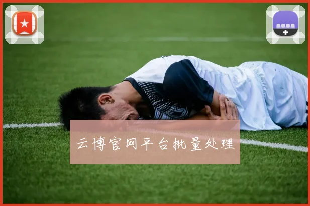 云博官网平台批量处理