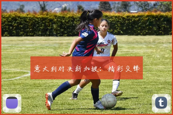 意大利对决新加坡：精彩交锋