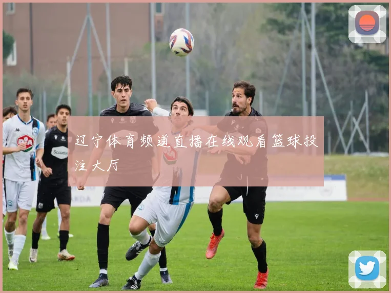 辽宁体育频道直播在线观看篮球投注大厅