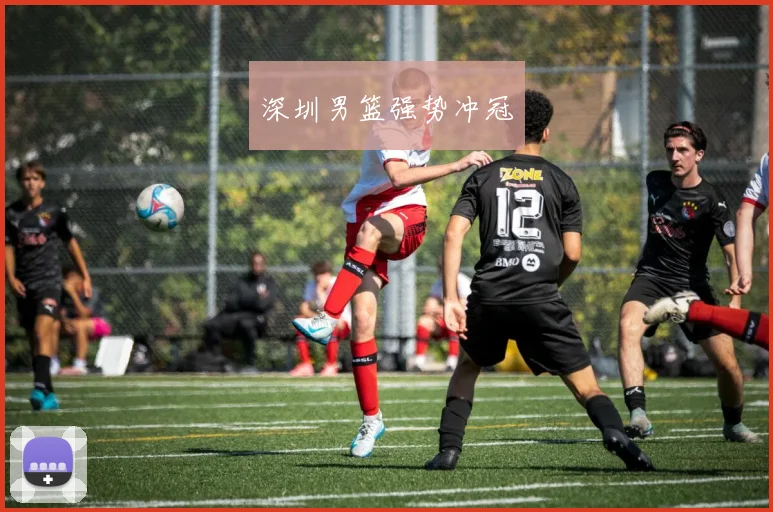 深圳男篮强势冲冠