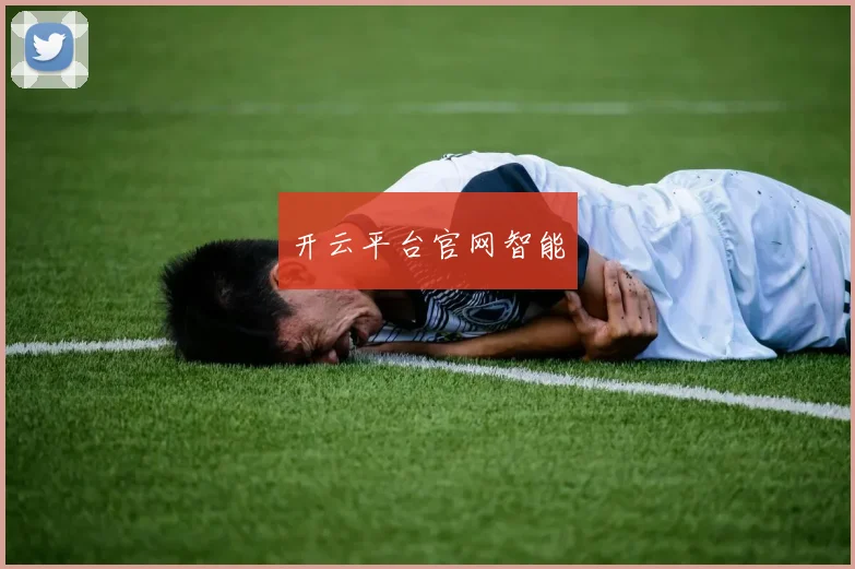 开云平台官网智能