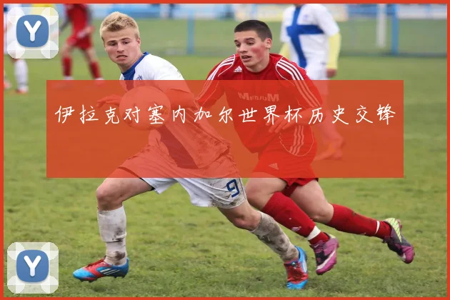伊拉克对塞内加尔世界杯历史交锋