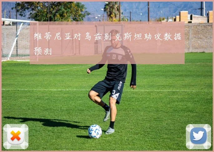 维蒂尼亚对乌兹别克斯坦助攻数据预测