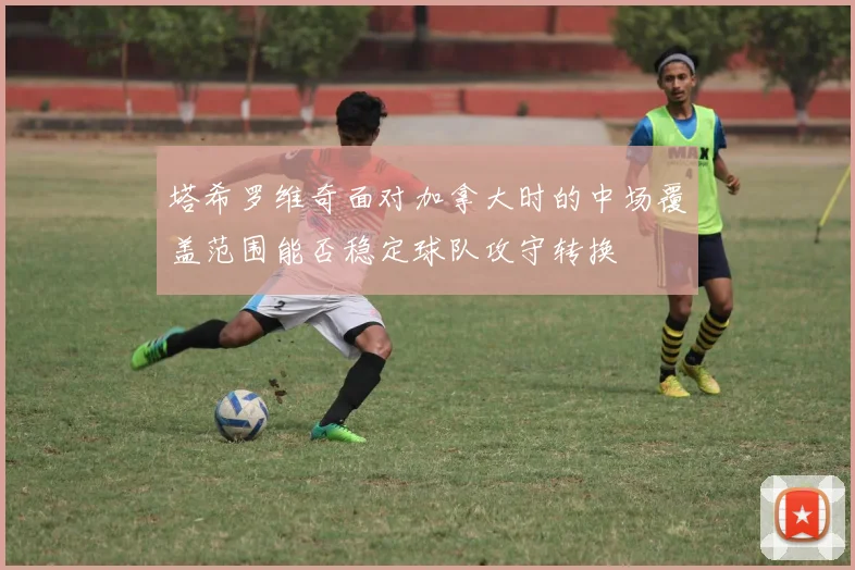 塔希罗维奇面对加拿大时的中场覆盖范围能否稳定球队攻守转换